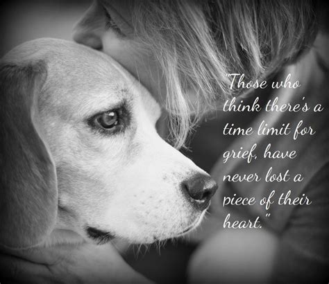 How to Find Strength During Pet Loss: Grief Support for Pet Owners